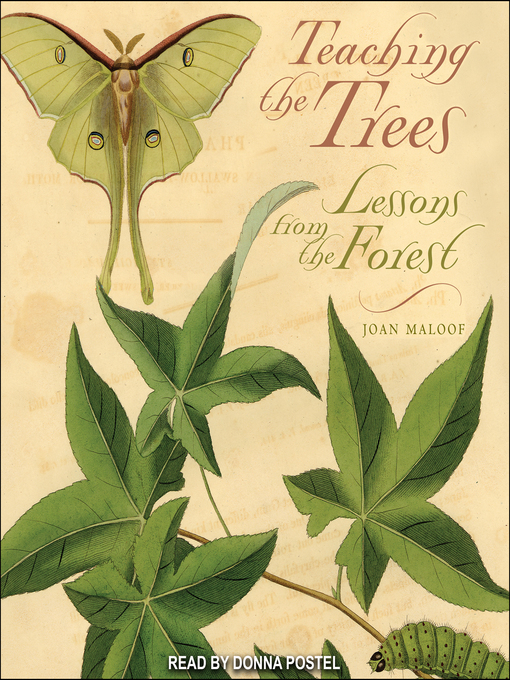 Title details for Teaching the Trees by Joan Maloof - Wait list